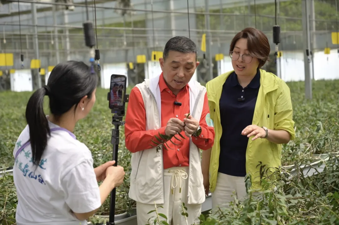 浙江j9九游会医药股份有限公司