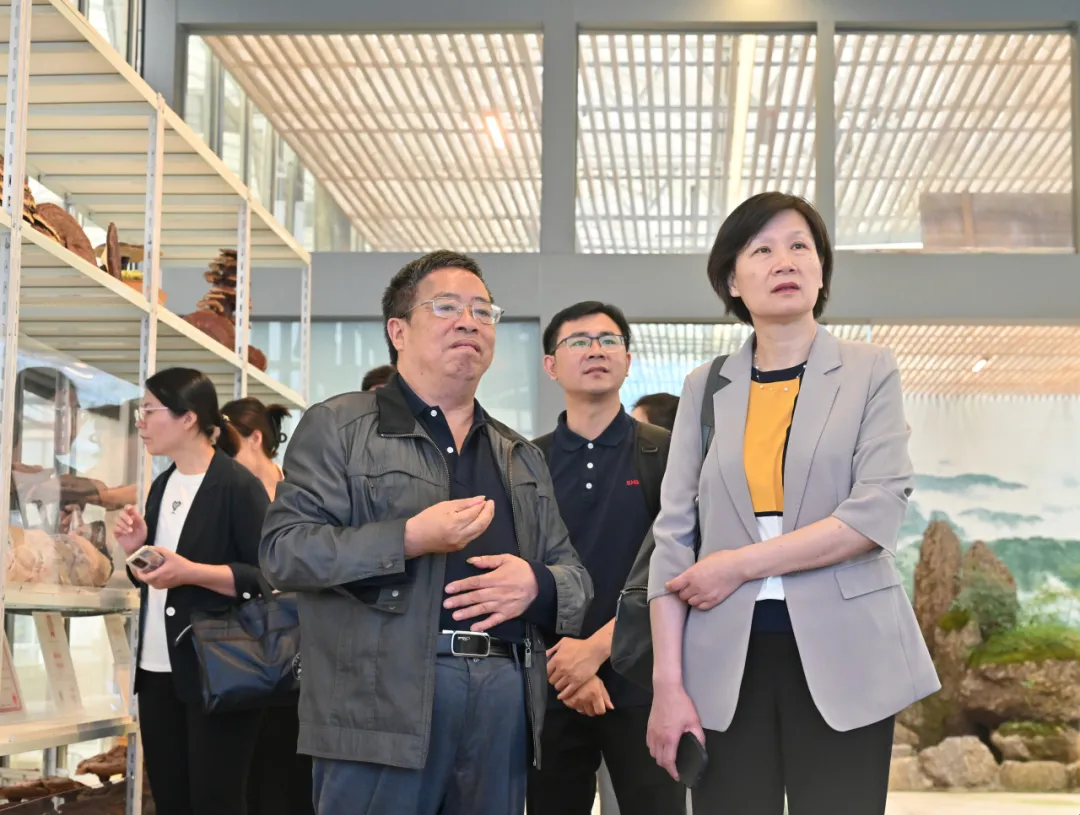 浙江j9九游会医药股份有限公司